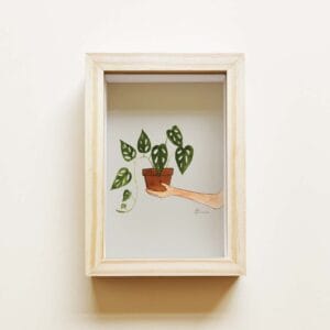 Quadrinho Vaso Monstera
